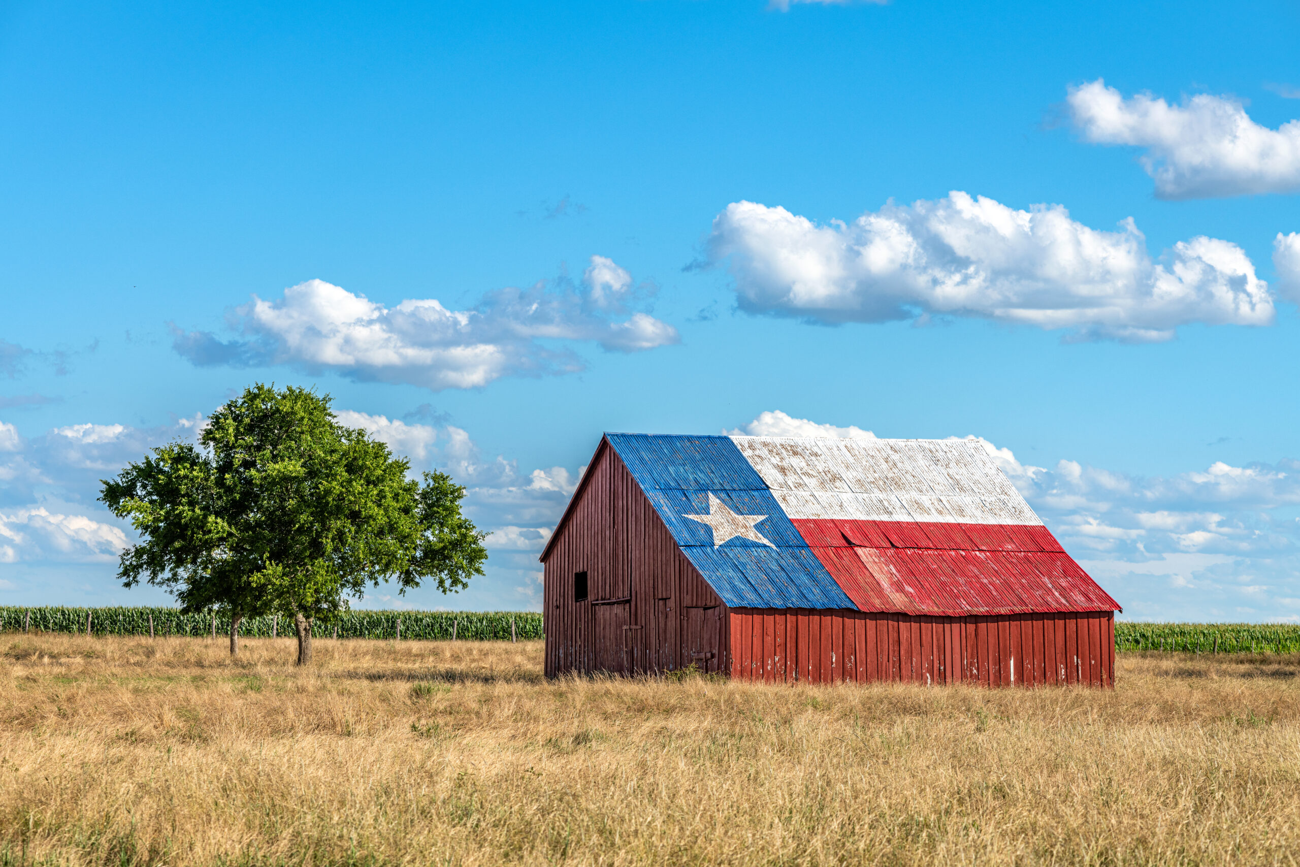 Barn With Texas Flag